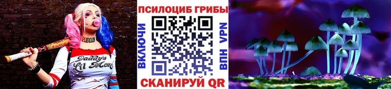 Купить закладки  Горячий Ключ  Псилоцибиновые грибы прущие грибы 